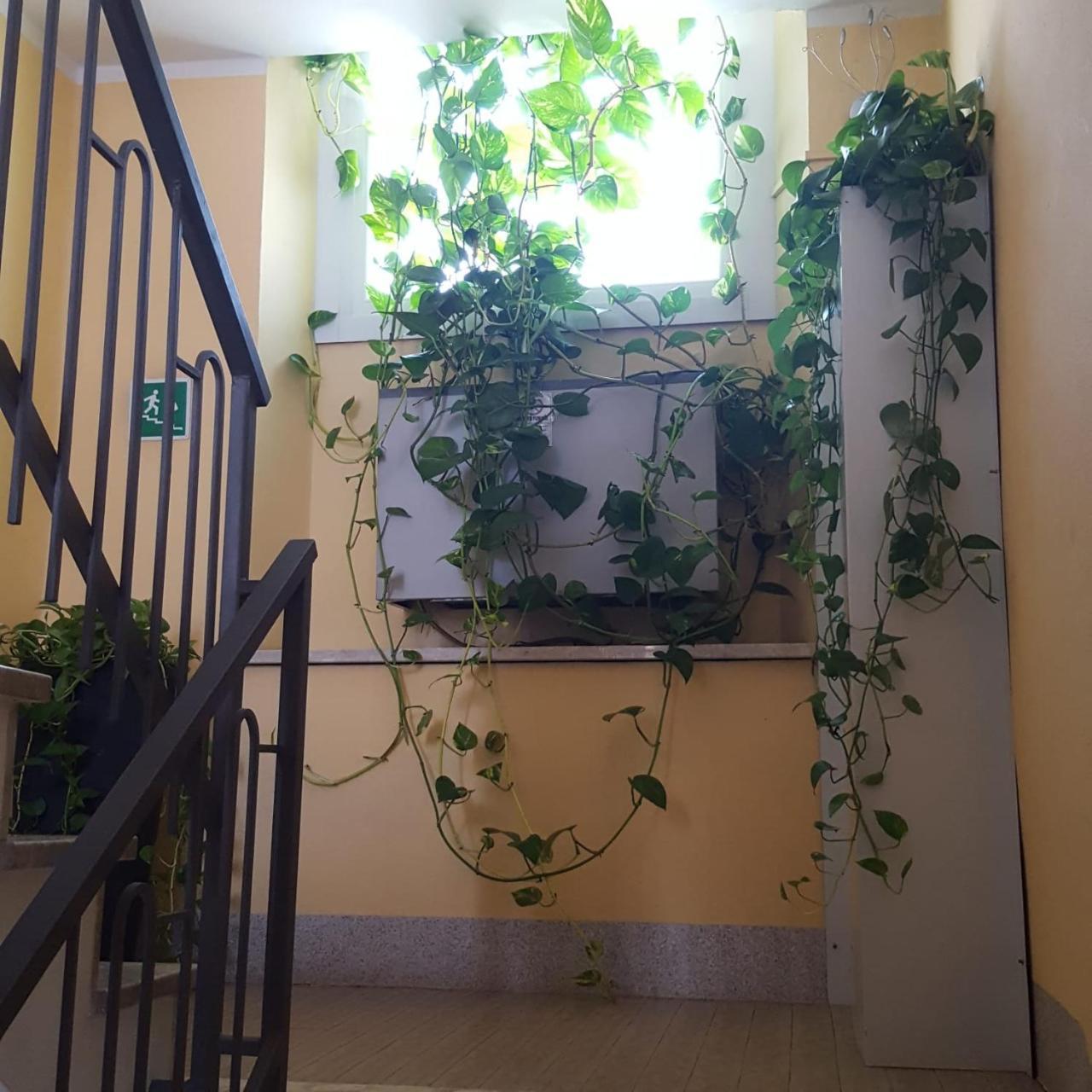Hotel Calaluna ビエッラ エクステリア 写真